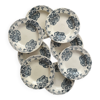8 deep iron earthenware plates “Les Violettes” Salins