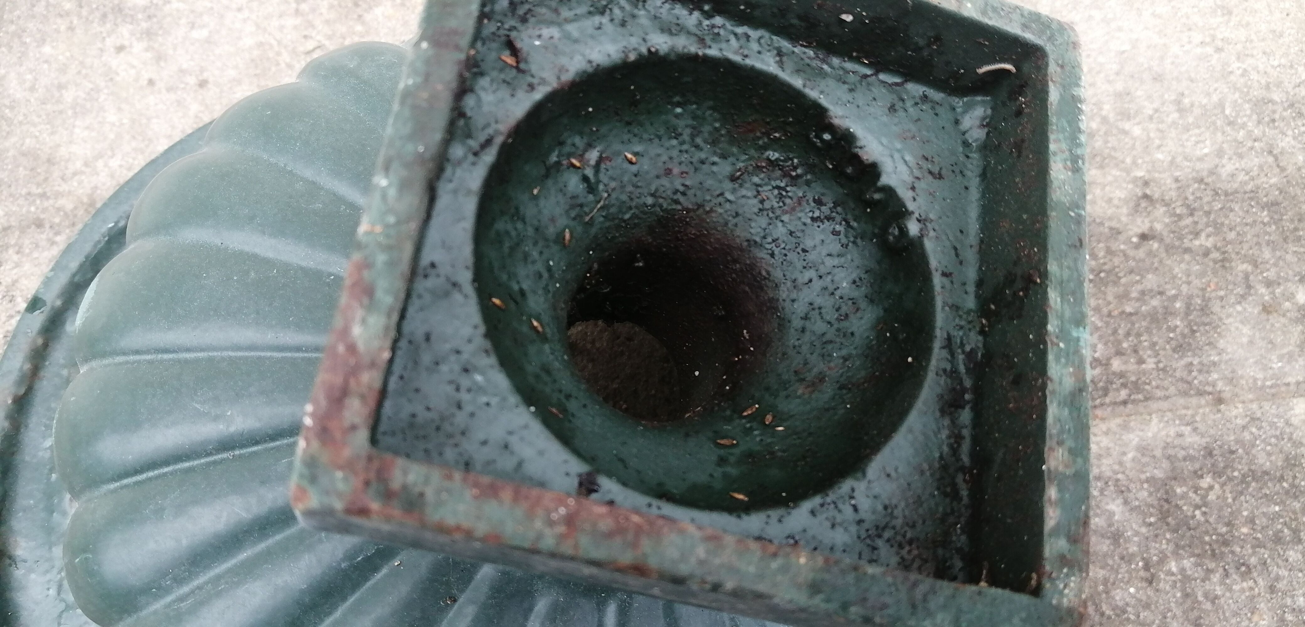Cast iron medicis vases