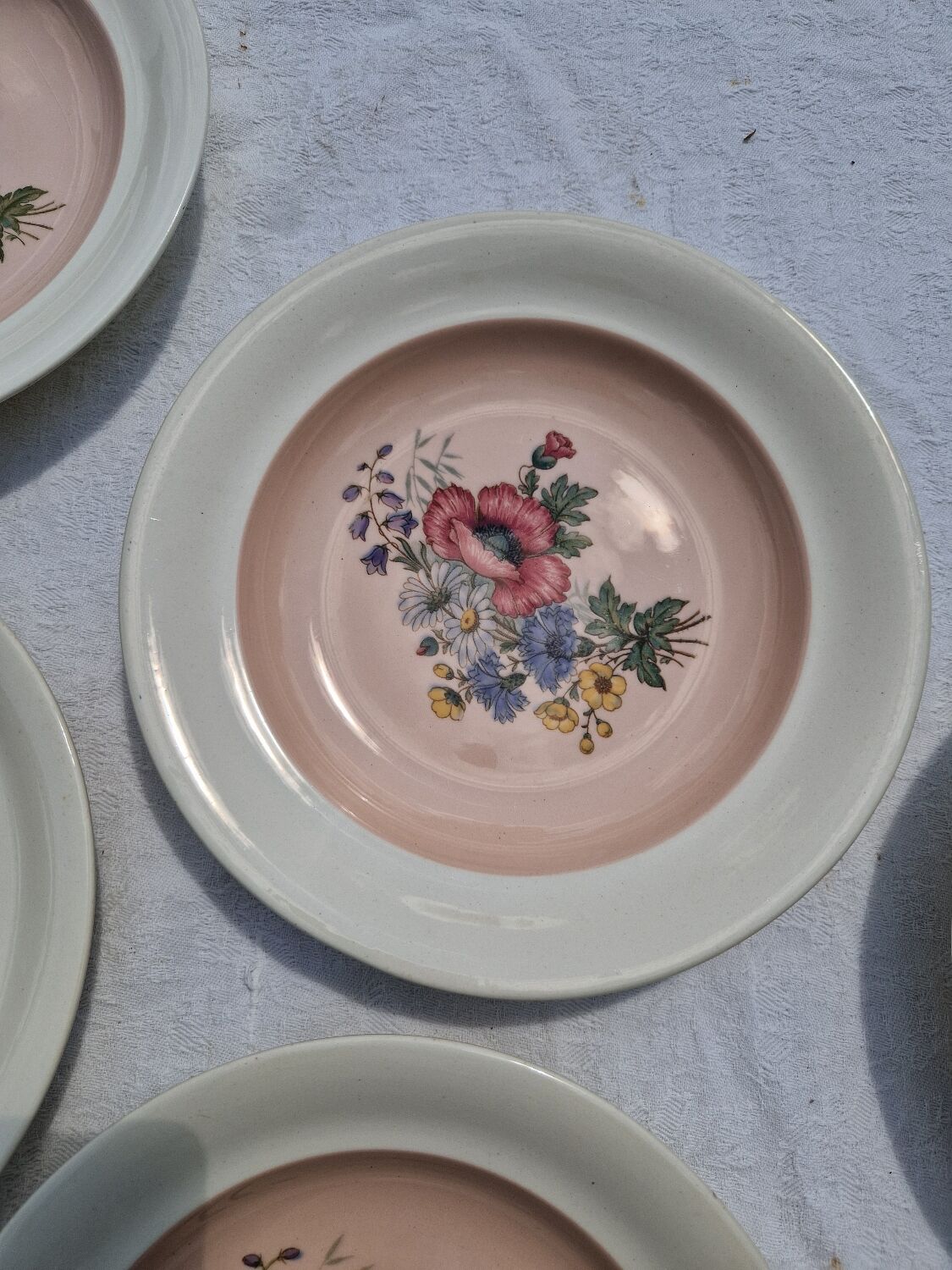 10 Vintage Villeroy & Boch Soup Plates Model 1584