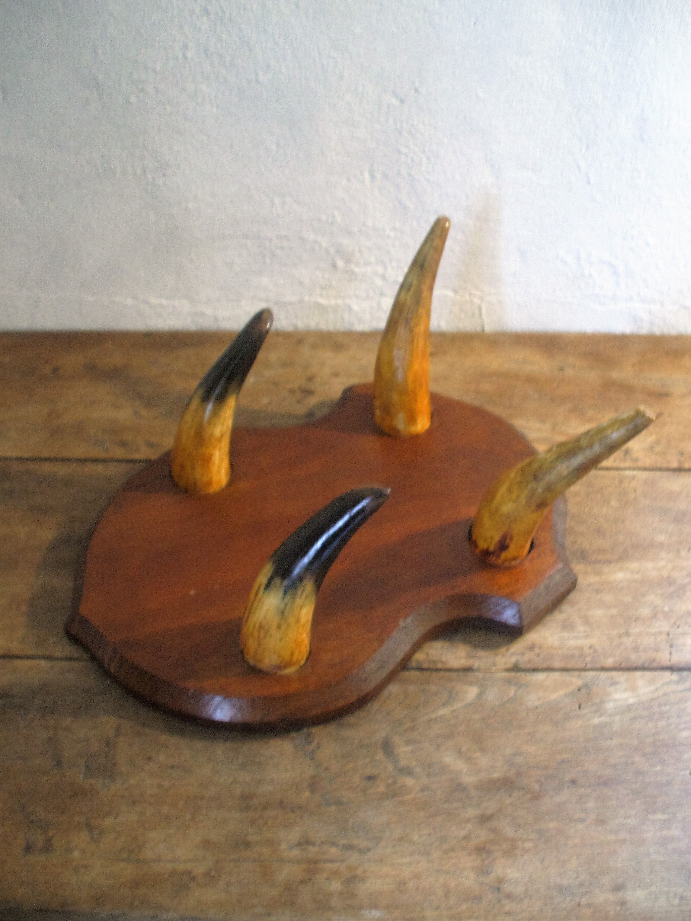 Coatrack in Horn