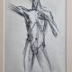 Étude de nu masculin au fusain, attribuée à Maurice de Bus, encadrement doré, 26 x 32 cm