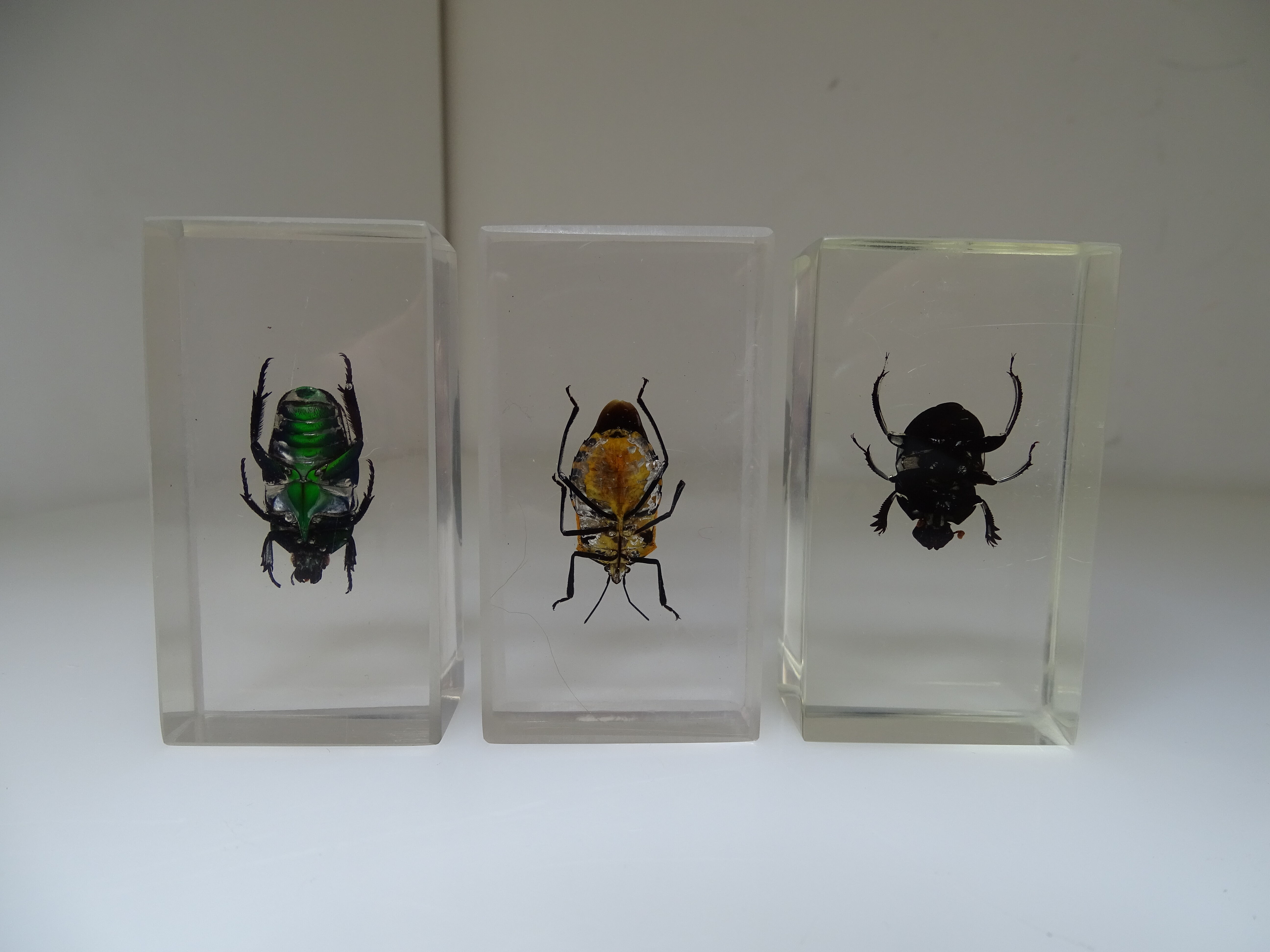 Lot 3 insectes sous inclusions résines vintage