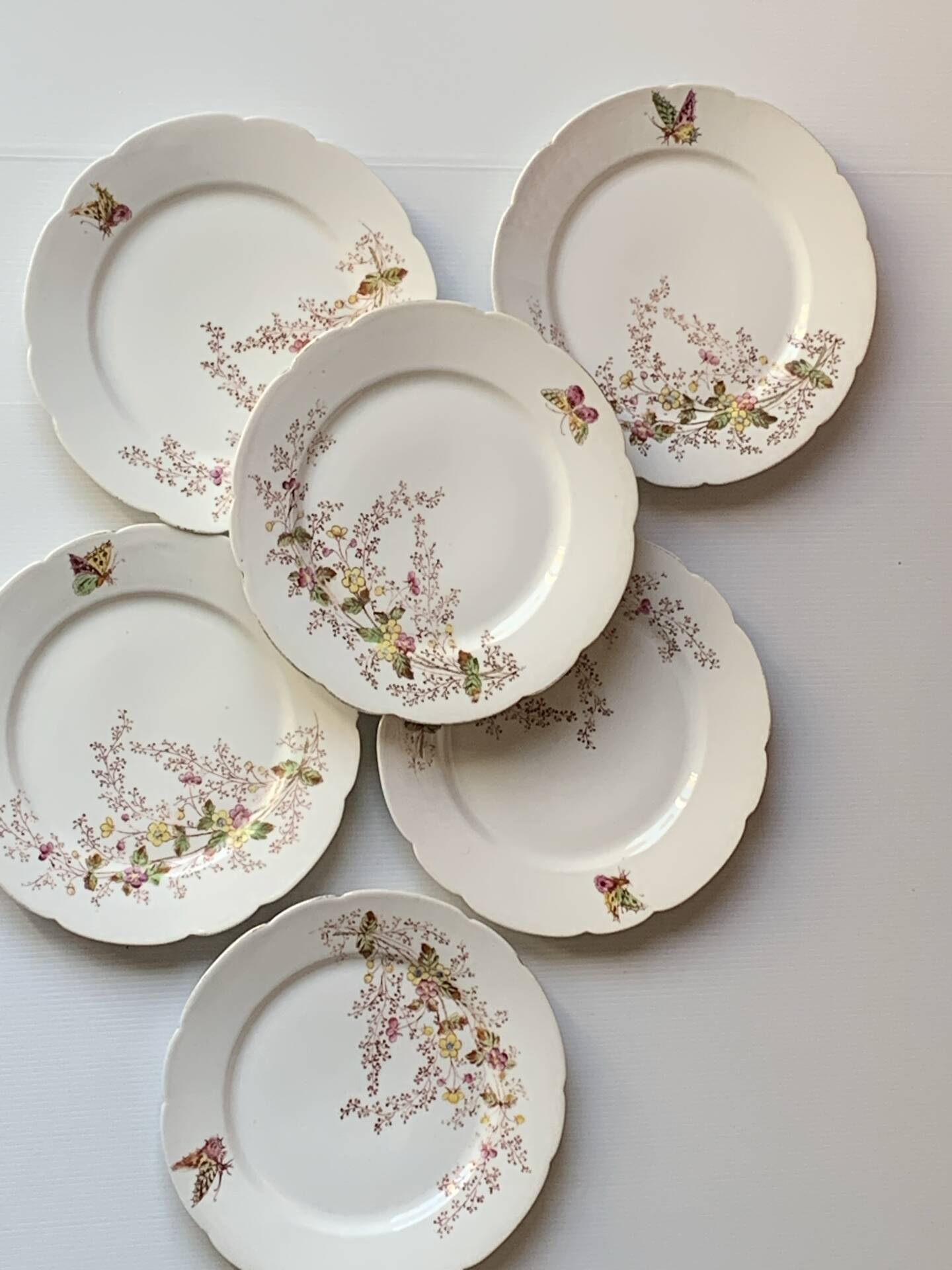 Six assiettes à entrée 1900s fleurs et papillons