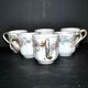 Limoges Haviland set of 6 floral porcelain coffee cups