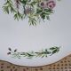 Royan de Digoin and Sarreguemines serving dish