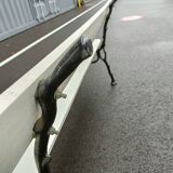 Garden bench old cast iron feet