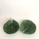 Set of leaf bubbles