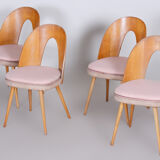 Chairs by Antonín Šuman 1950
