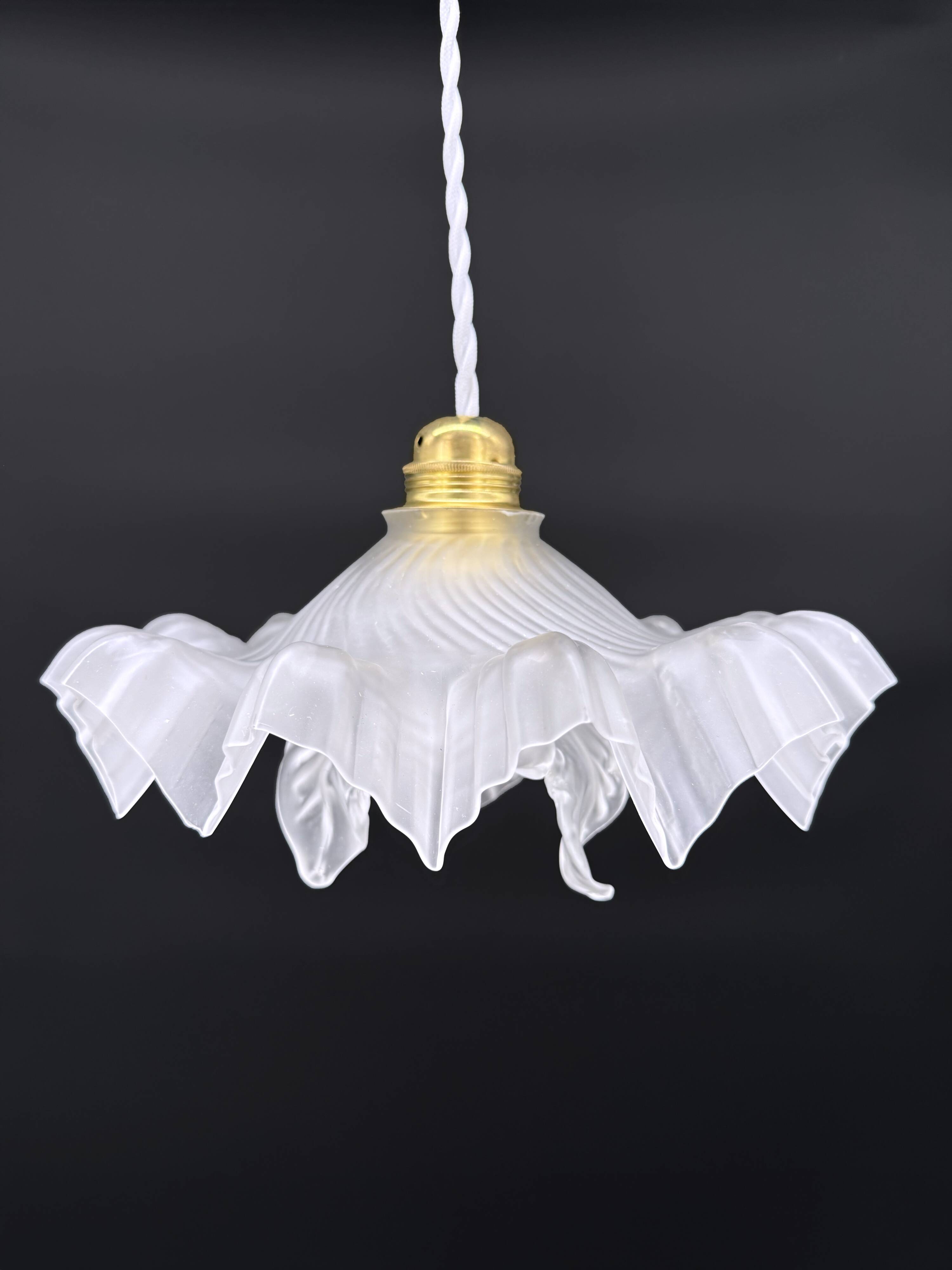 Double Medusa Pendant - Art Nouveau Molded Draped Frosted Glass