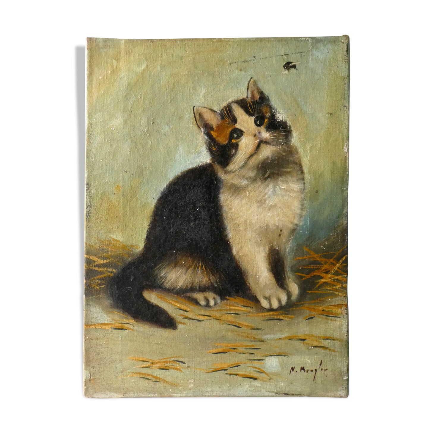 Oil on canvas "cat and fly", 1940s
