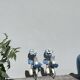 Pair of blue metal floral wall lights