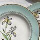 6 vintage white and green porcelain soup plates Iris Moulin des Loups "Sargosse" 1950s