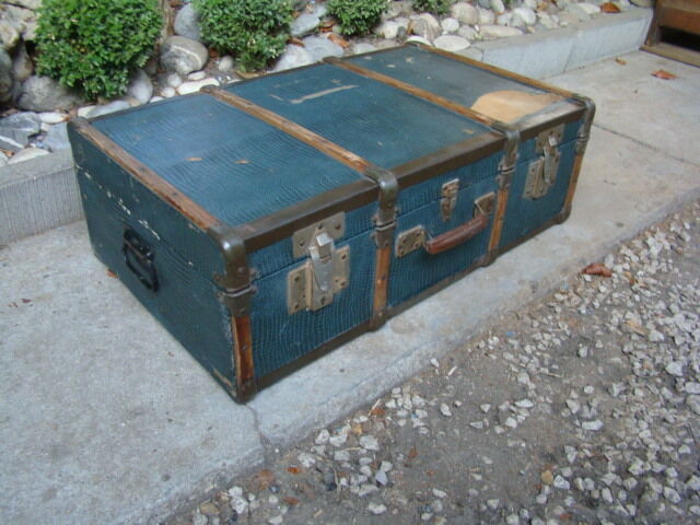 Old trunk case