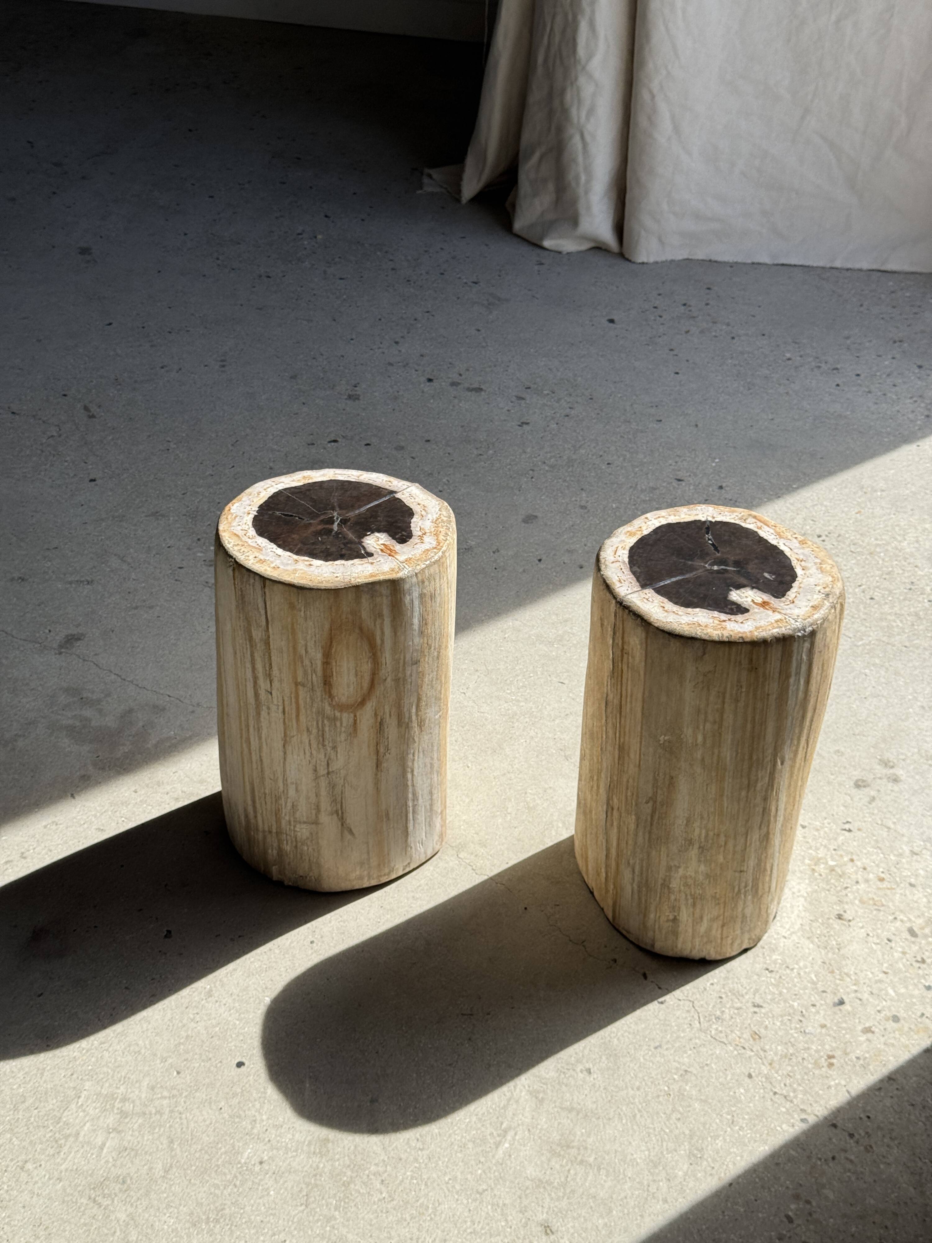 Table d'appoint en bois pétrifié, écorce blanche