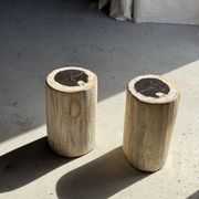 Petrified wood side table, white bark