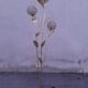 Floral floor lamp in pearlescent Capiz, 1970s.