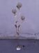 Floral floor lamp in pearlescent Capiz, 1970s.