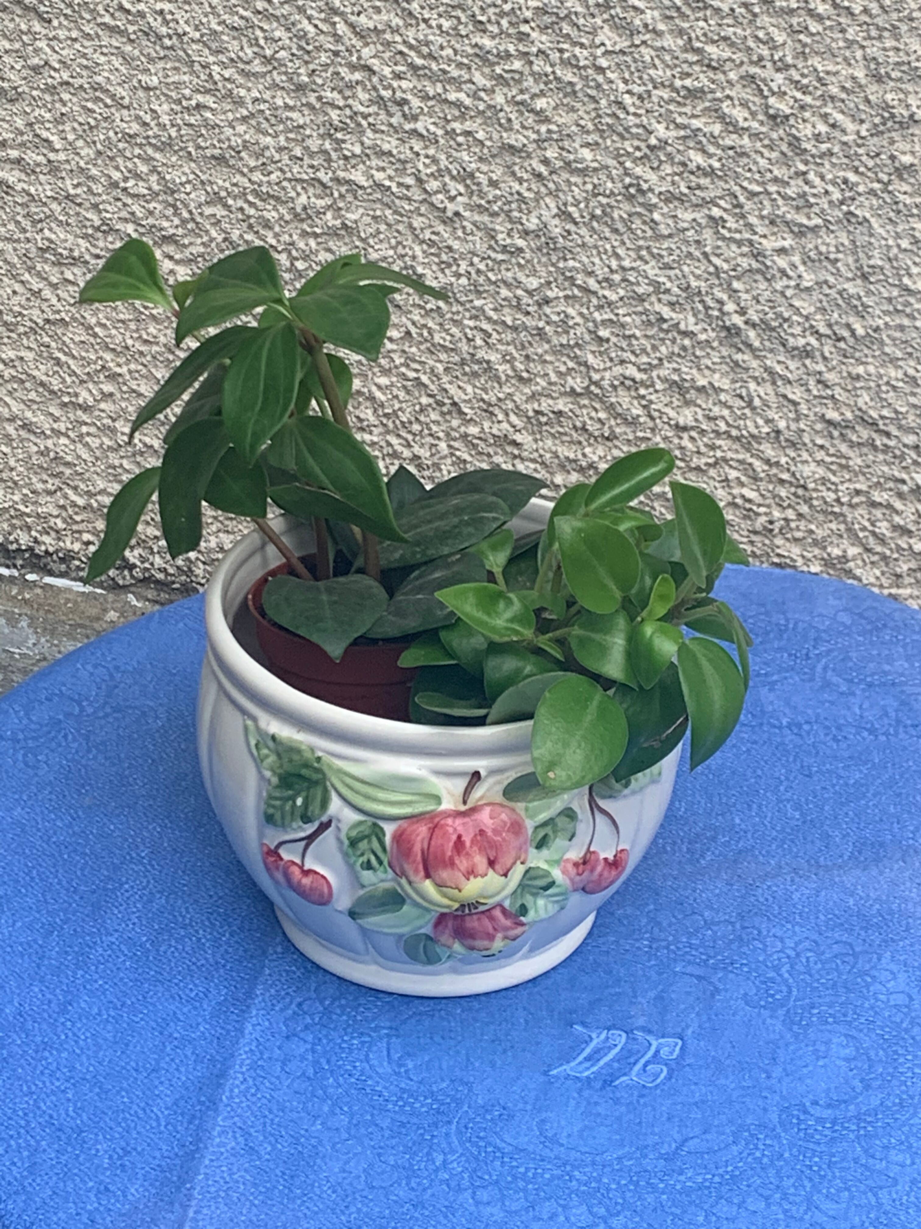 White glazed ceramic pot cover slurry vintage fruit