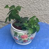 White glazed ceramic pot cover slurry vintage fruit