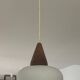 Louis Kalff 60s pendant light in teak and opaline