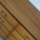 Dutch Industrial Beech Apothecary Cabinet, Mid-20th Century