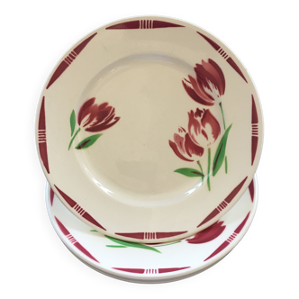 Set of 4 plates with tulip decor