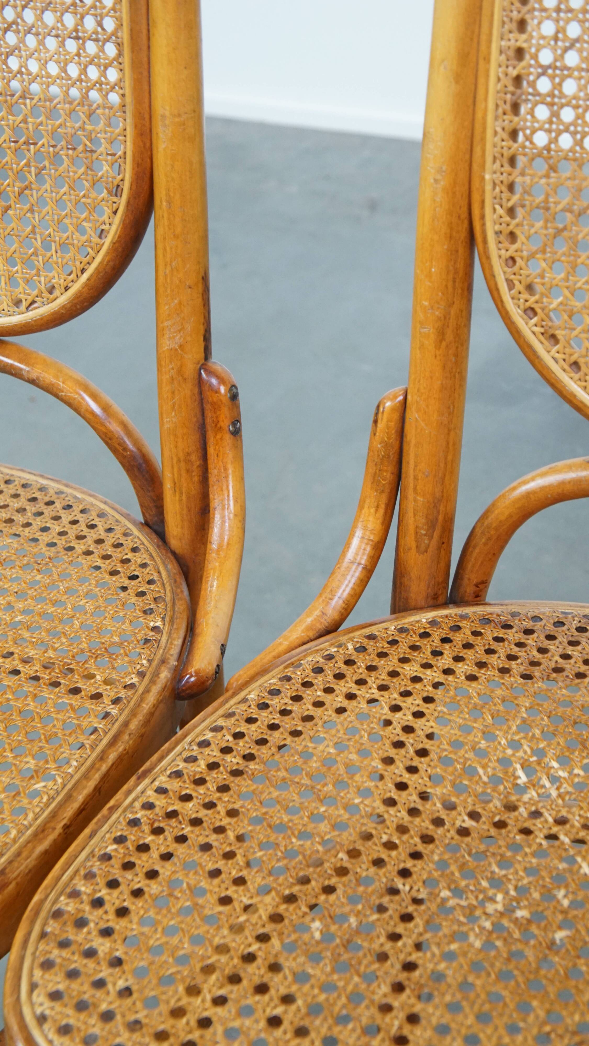 Set of 2 light brown bentwood Thonet style chairs model "Long John"