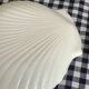 4 shellfish plate
