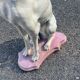 Large Sitting Greyhound Statue in Concrete / Cement - Garden Decoration or