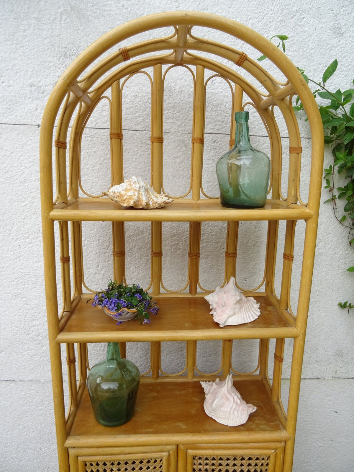 Canning rattan