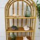 Canning rattan
