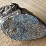 Hand carved African head