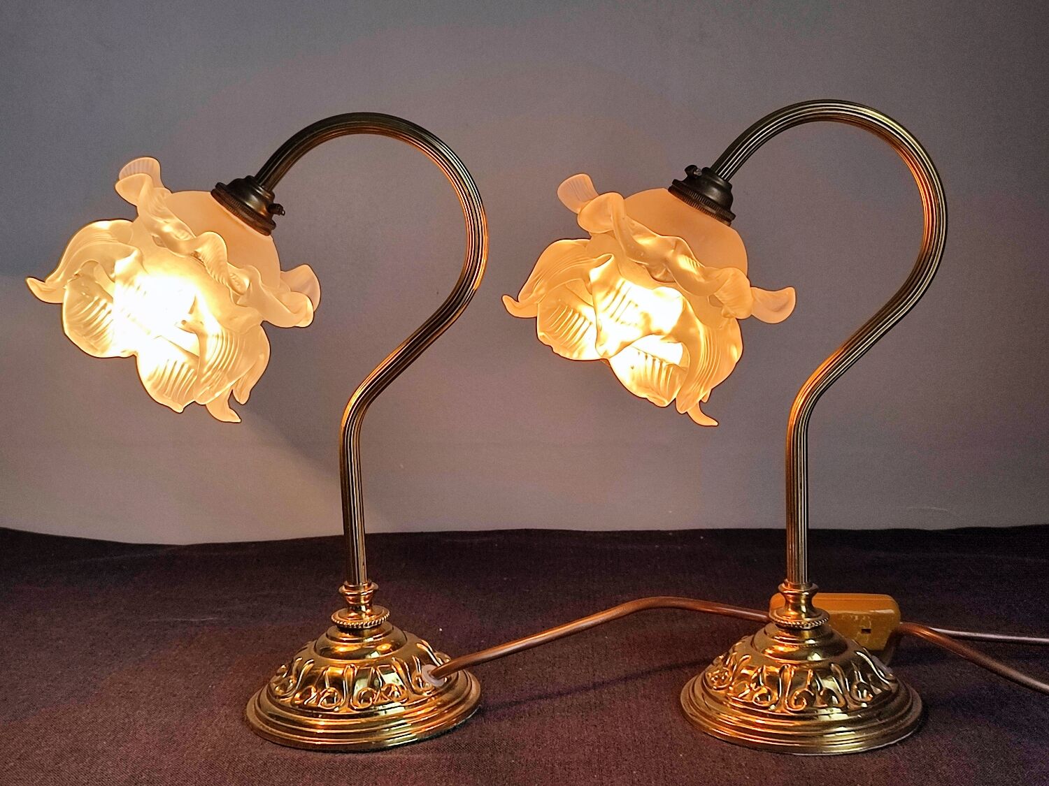 Pair of vintage gooseneck lamp