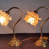 Pair of vintage gooseneck lamp