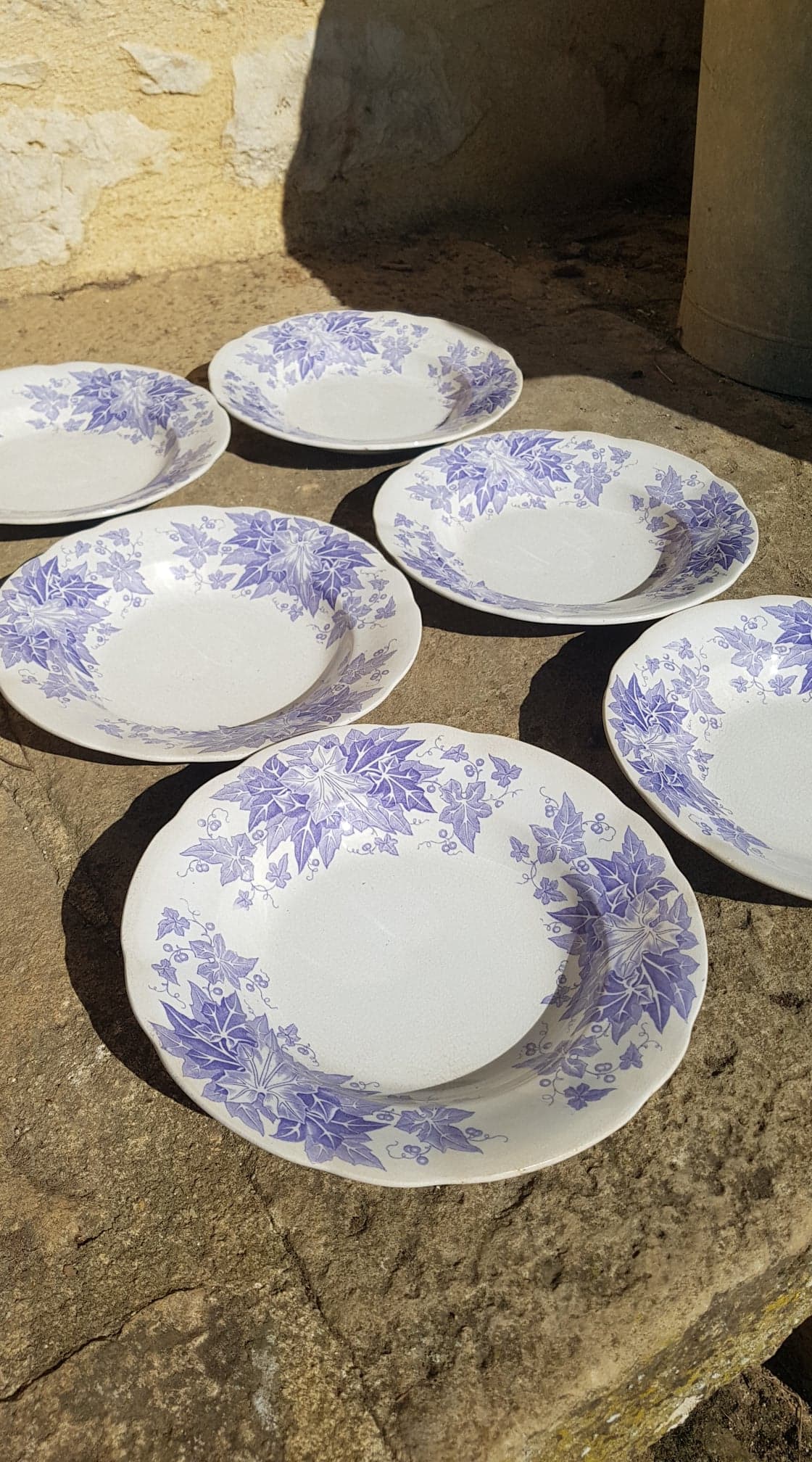 Set of 6 plates Sarreguemines model Bryonia