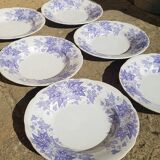Set of 6 plates Sarreguemines model Bryonia