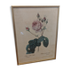 Frame Dreaded rose bush