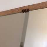 Trapezoidal mirror in solid oak