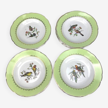 Set of Lunéville Badonviller soup plates with exotic bird motifs after John Gould