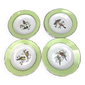 Set of Lunéville Badonviller soup plates with exotic bird motifs after John Gould