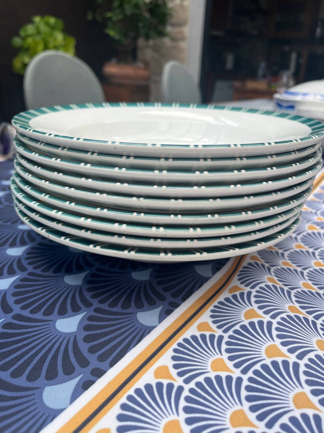 Set of nine Digoin Sarreguemines soup plates