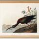 Poster about the shining ibis, after an old engraving from 1827.