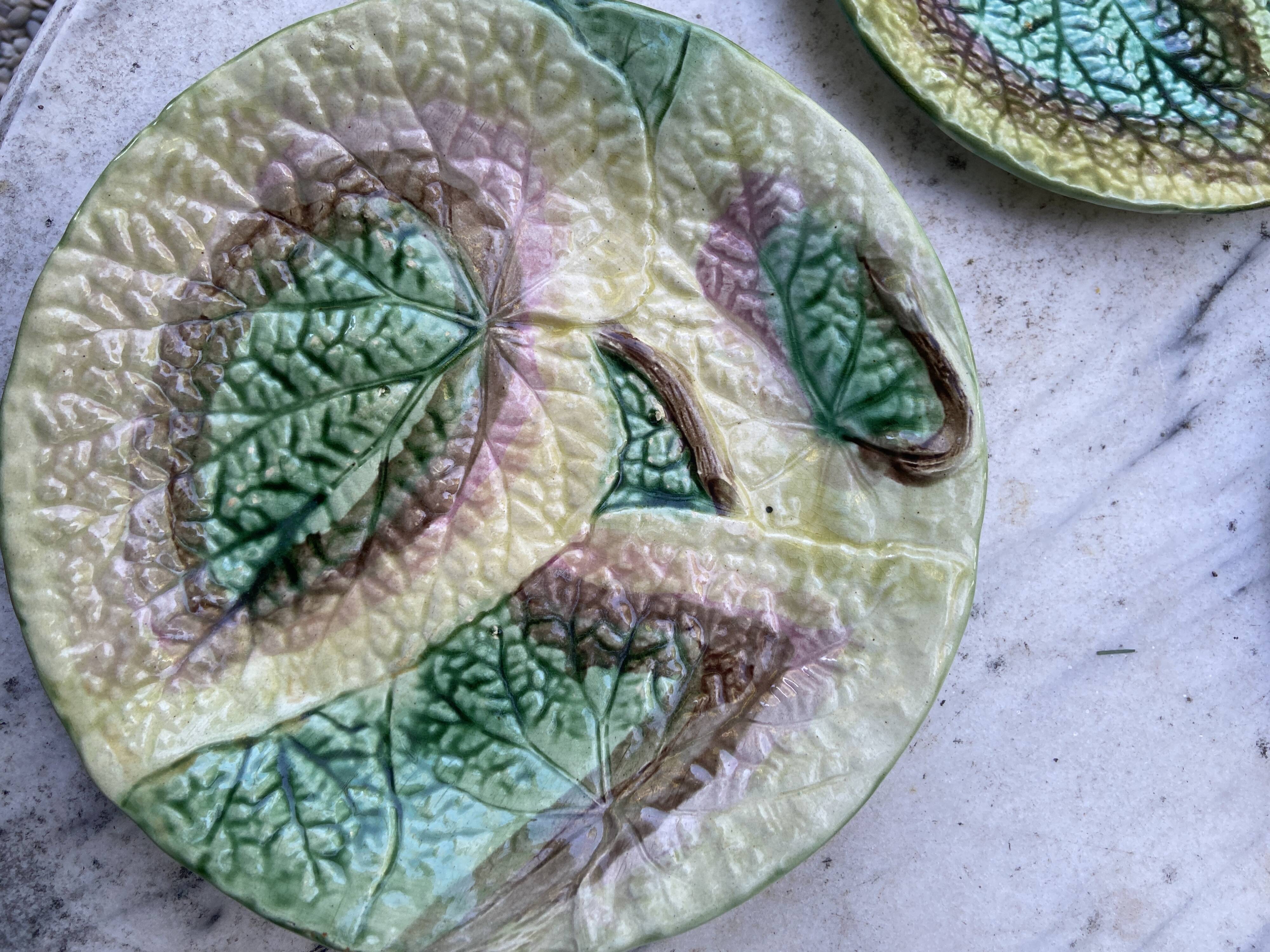 Set 8 slush plates with leaf decoration