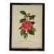 Vintage Japanese camellia frame