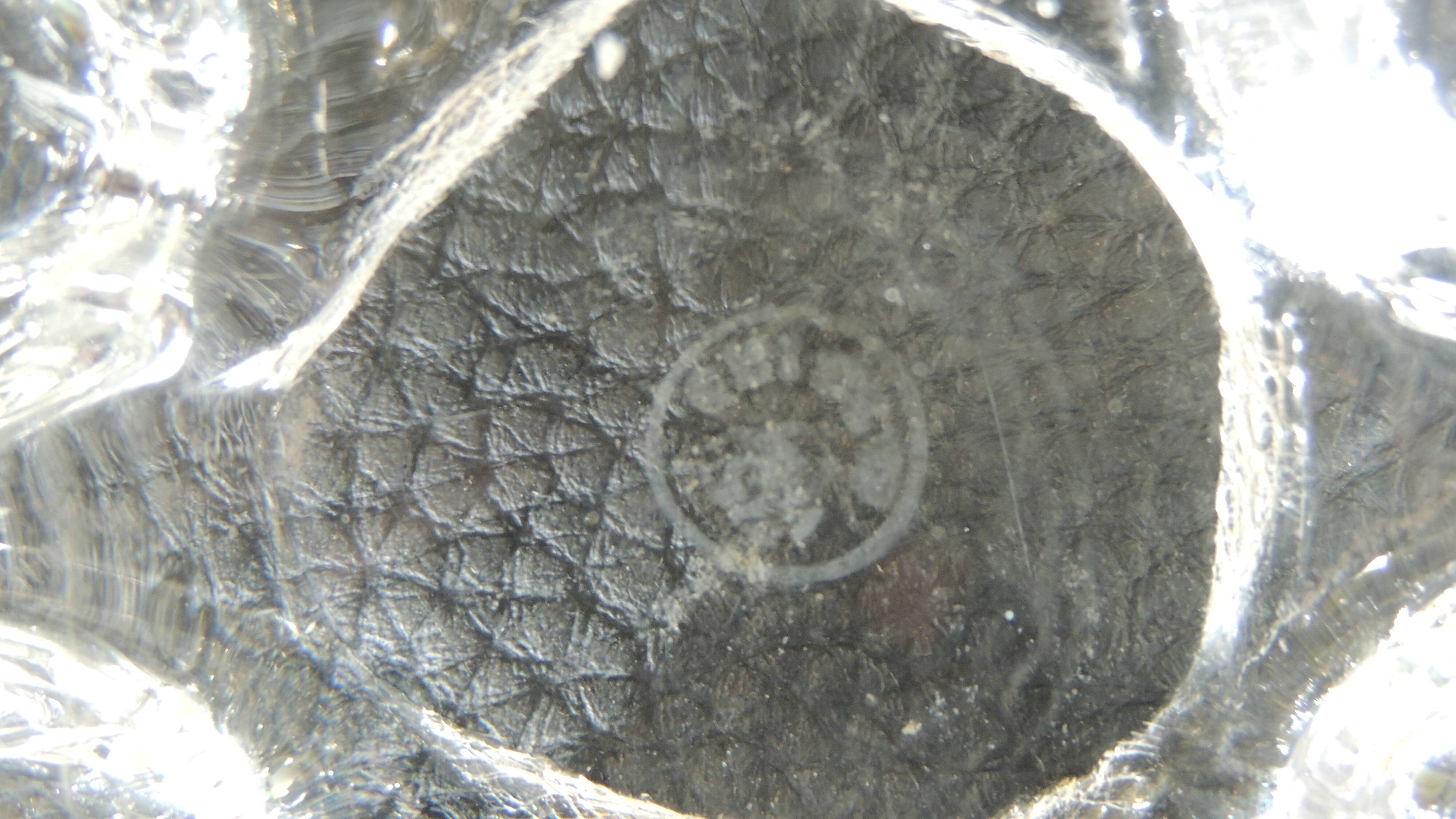 Crystal fruit bowl / signed / Vintage