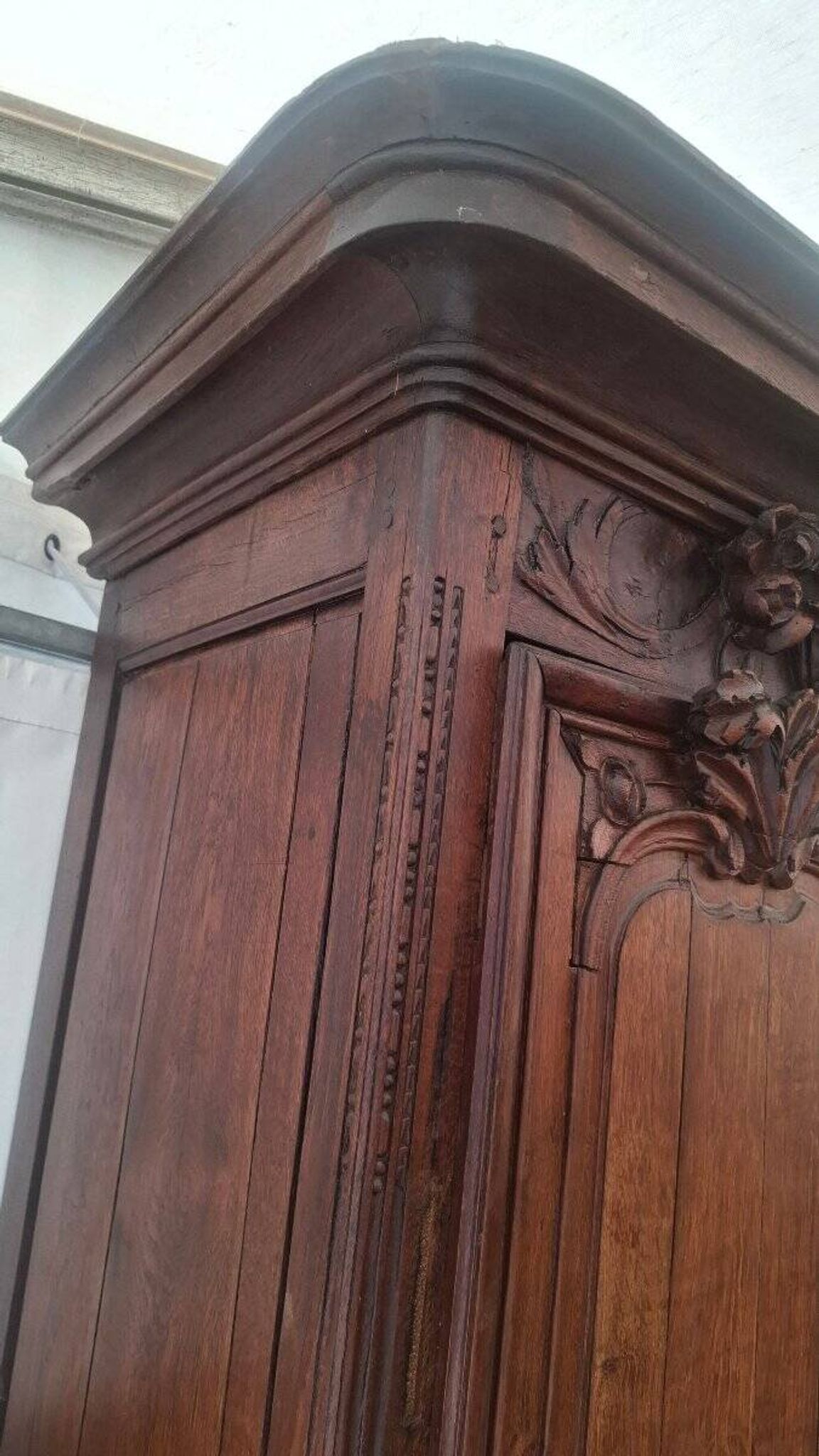 Bonnetière normande