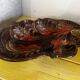 Large Fruit Bowl - Ceramic Centerpiece Vallauris 60s