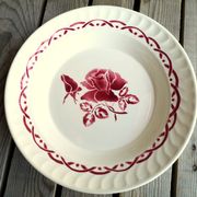 Digoin Sarreguemines plate