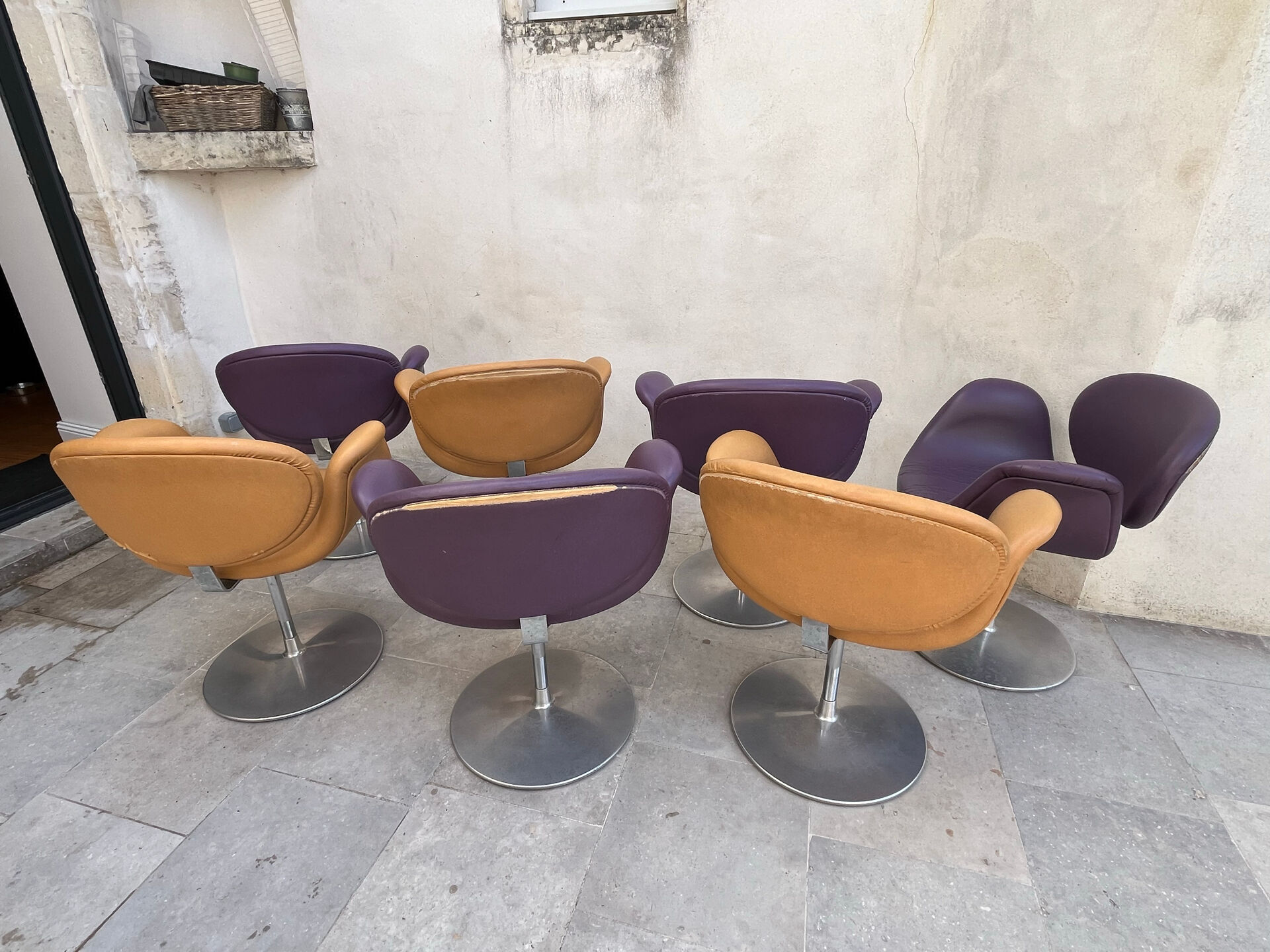 7 Tulip Chairs Paulin