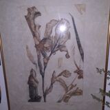 Nall engraving signed and numbered